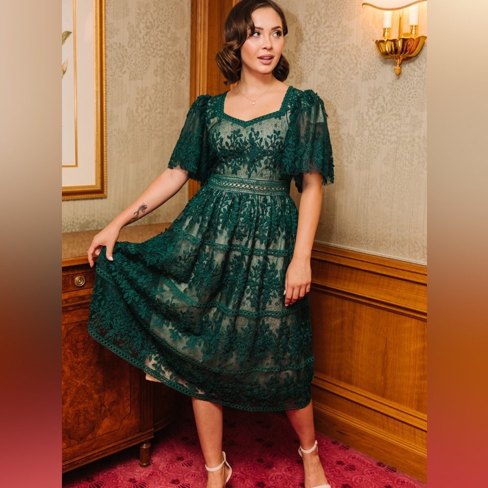 NWT Ivy City Venice dress
